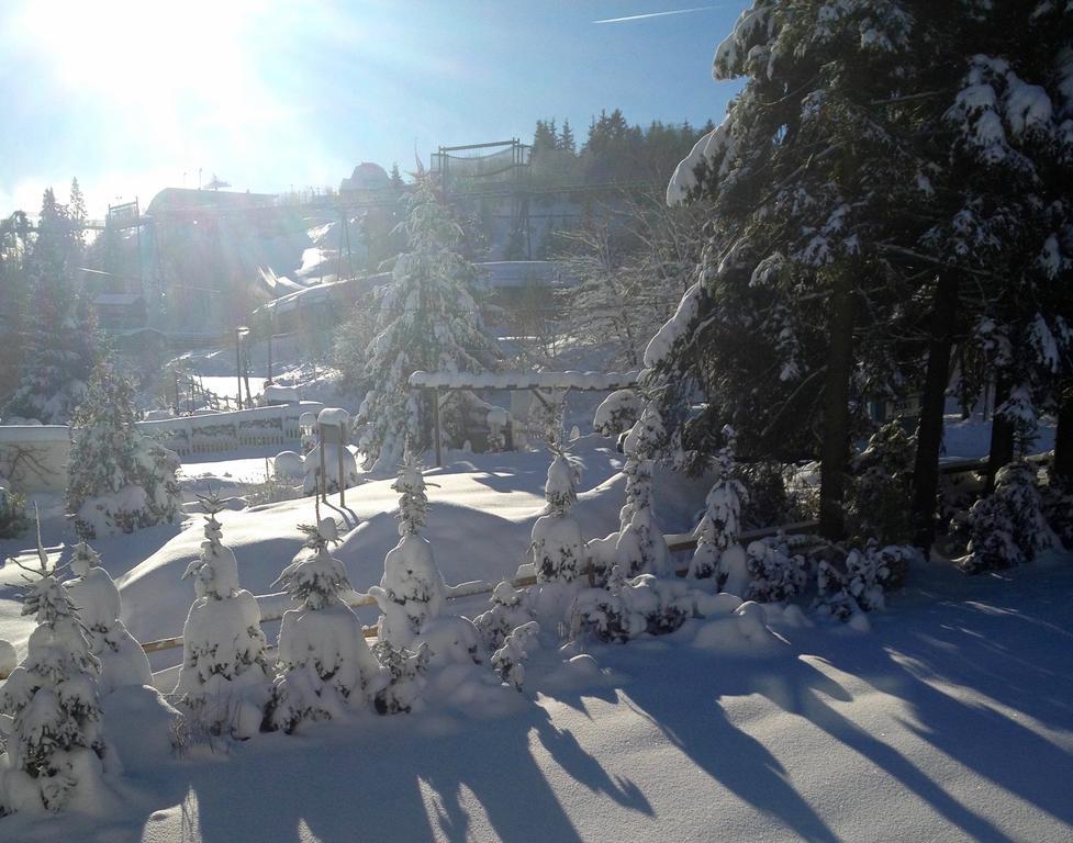 FeWo-Winterberg Exterior foto